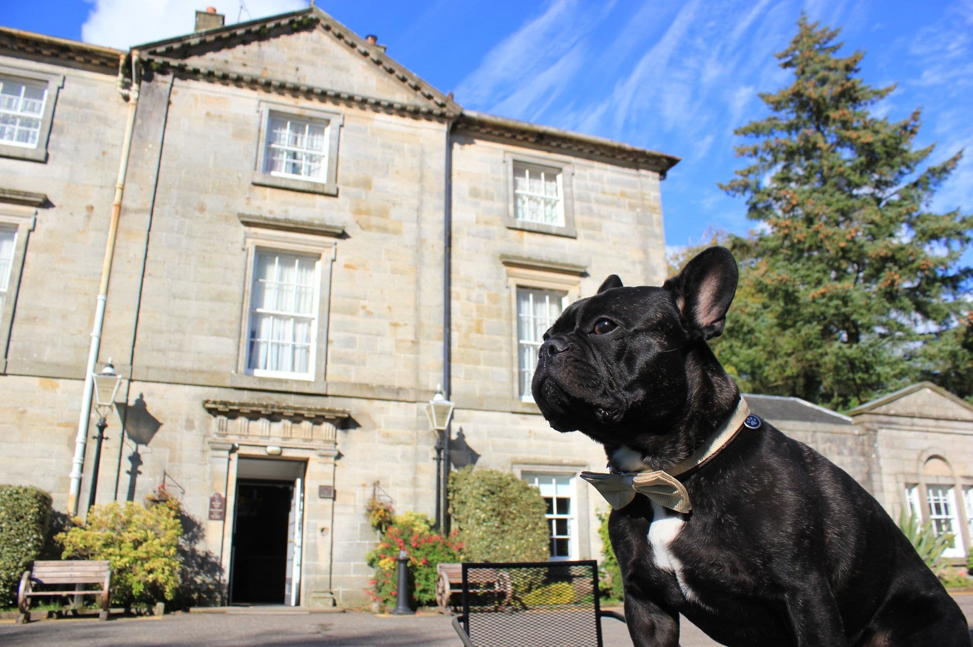 Strathaven Hotel Exteriér fotografie